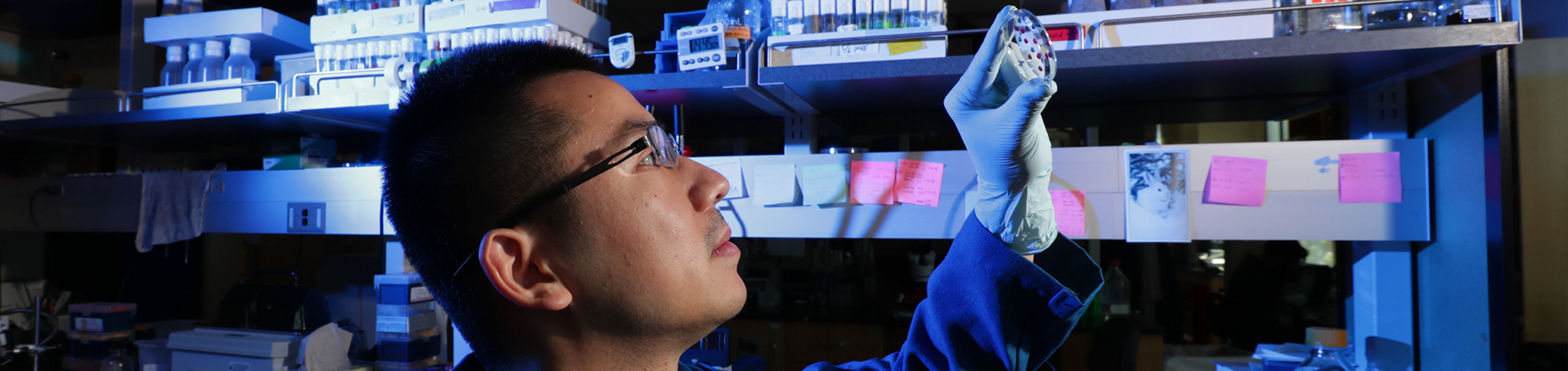 UCR researcher holding his invention up to the light in the lab