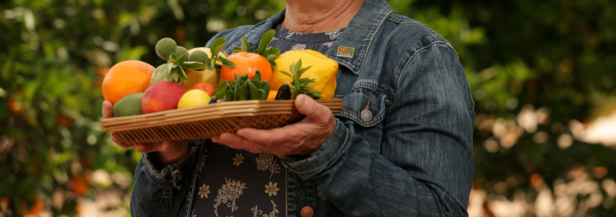 A woman holding a basket of various citrus fruit in UCR's citrus grove.